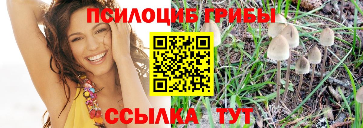 Архангельск  Галлюциногенные грибы Psilocybe  Вход с VPN 